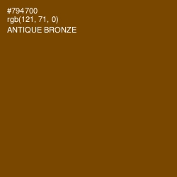 #794700 - Antique Bronze Color Image